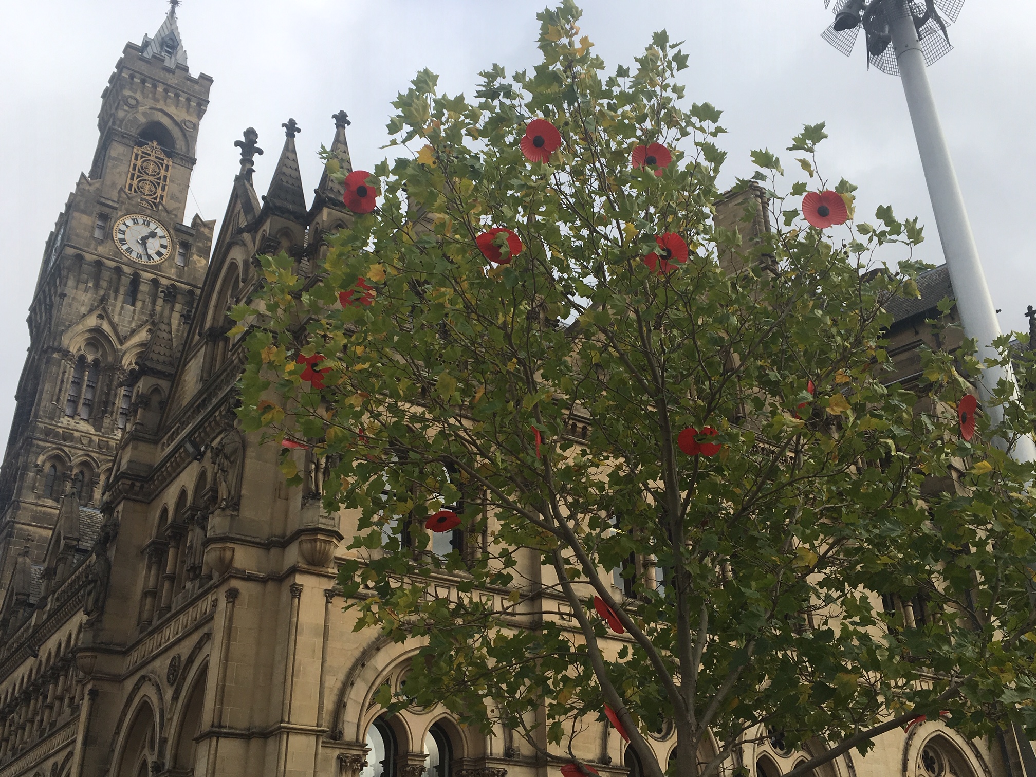 Armistice Day celebrations – Bradford